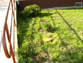 Parkić ispred Društevnog centra